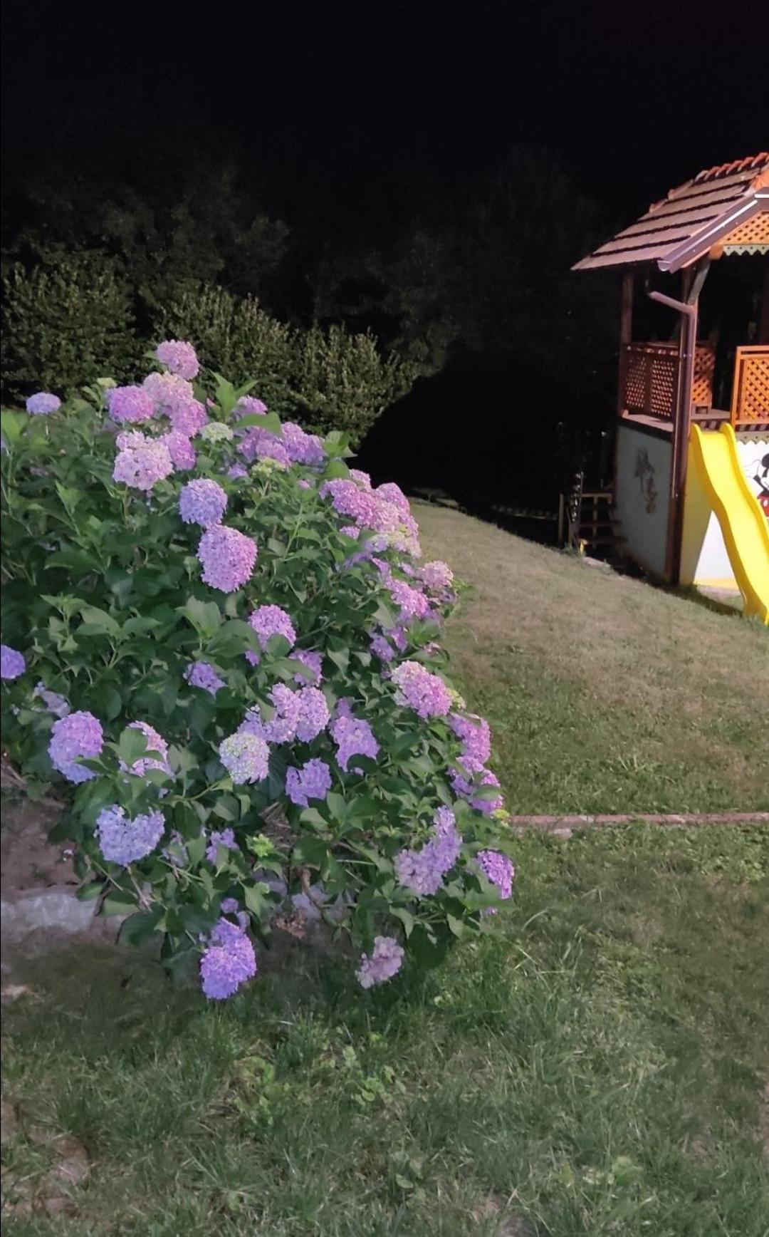 Holiday Home Pharaoh Visoko Exterior photo